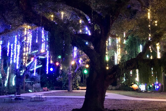 Flamingo Gardens' Garden of Lights - Is the $24 price fair?