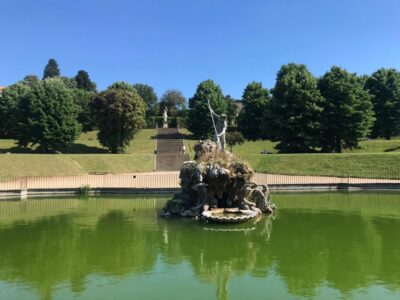 David, Pitti Palace, & Gardens Combination Tickets
