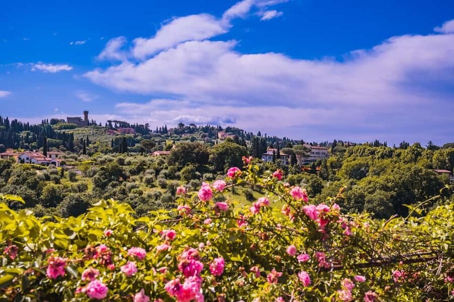 Florence: Pitti Palace and Boboli Gardens Guided Tour - A two-hour pace that leaves room for more