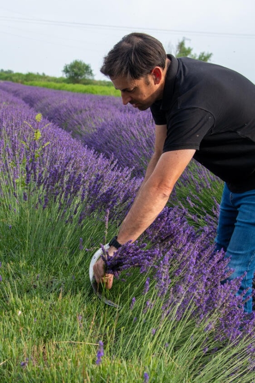 Flowers picking and essential oil distillation workshop - Key points at a glance