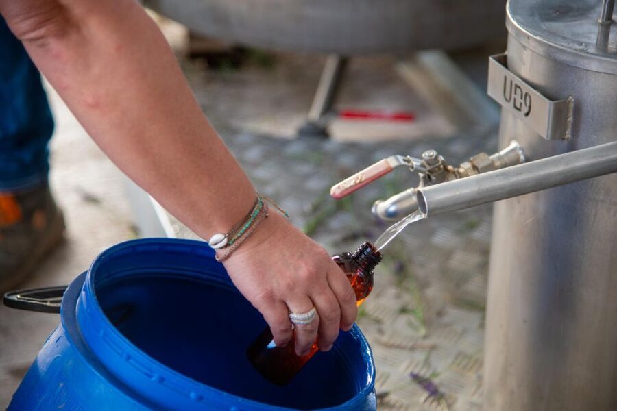 Flowers picking and essential oil distillation workshop - Booking flexibility near Arles and Nîmes