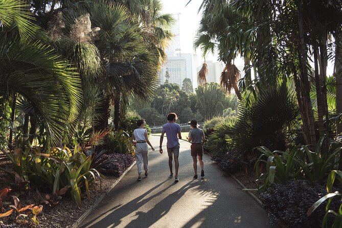 Foraging Tour: Botanical Gardens Walk & Picnic - Meeting at Man O’War Steps at 4pm