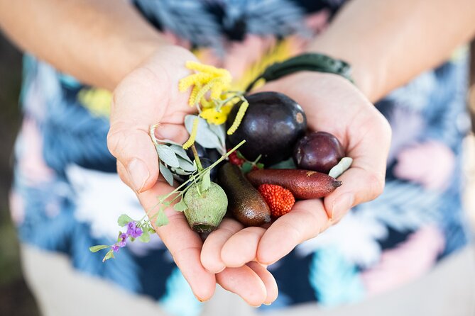 Foraging Tour: Botanical Gardens Walk & Picnic - A Native-Inspired Picnic Near the Harbour
