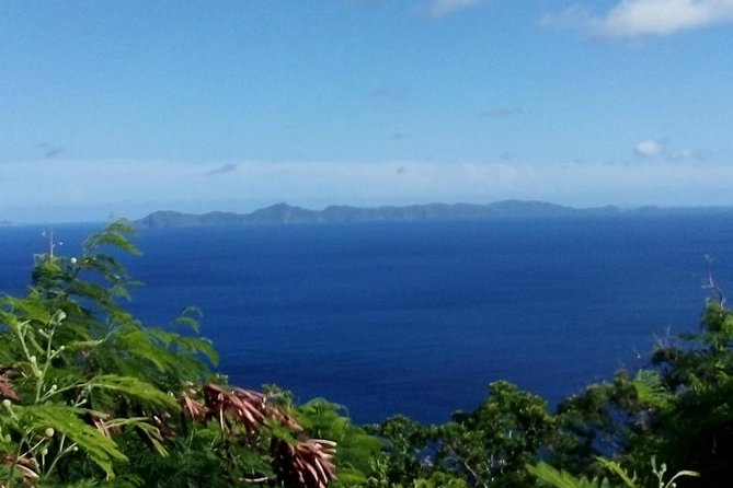 Fort Charlotte, Botanical Gardens and Kingstown Tours with Detention Tours - Is $40.55 a fair price?