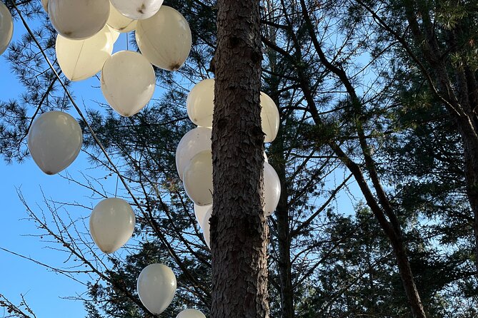Four Seasons of Nami Island with Garden of Morning Calm Tour - Guides, transport, and the value of $88