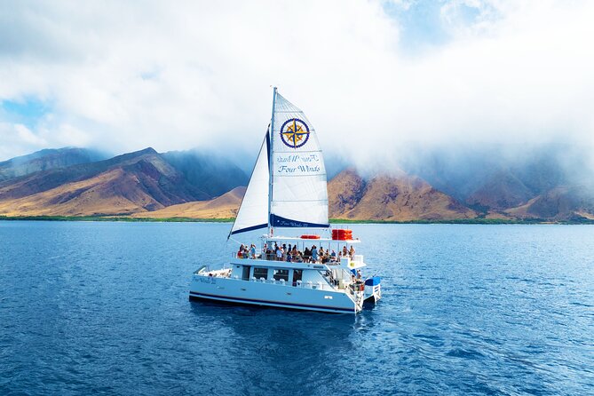 Four Winds Maui Afternoon Snorkel Tour to Coral Gardens - What happens at Mā‘alaea Harbor