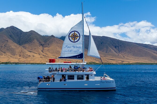 Four Winds Maui Afternoon Snorkel Tour to Coral Gardens - A useful setup for children and mixed groups