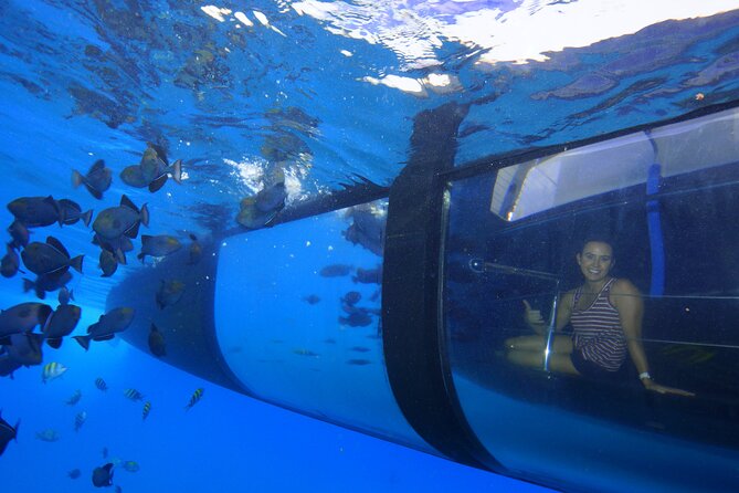 Four Winds Maui Afternoon Snorkel Tour to Coral Gardens - Who should book this trip