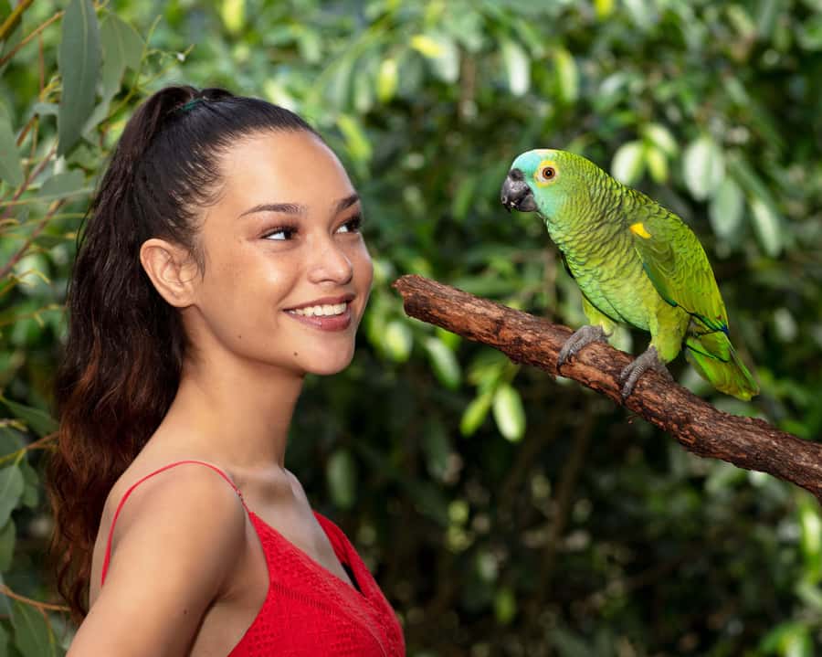 Friends in the Rainforest Package: Koala Gardens & Birdworld - Small details that improve the day