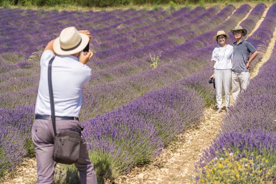 From Aix-en-Provence: Lavender Half Day Tour - Meeting a lavender producer