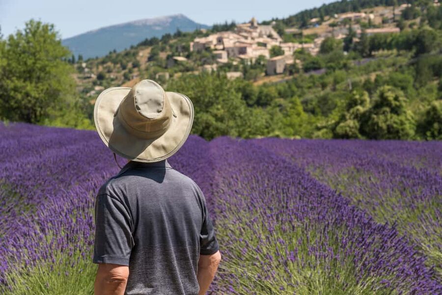 From Aix-en-Provence: Sault Lavender & Gordes Full-Day Tour - Why the lavender fields are worth the long ride