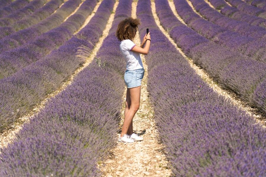 From Aix-en-Provence: Sault Lavender & Gordes Full-Day Tour - Gordes and the Luberon villages