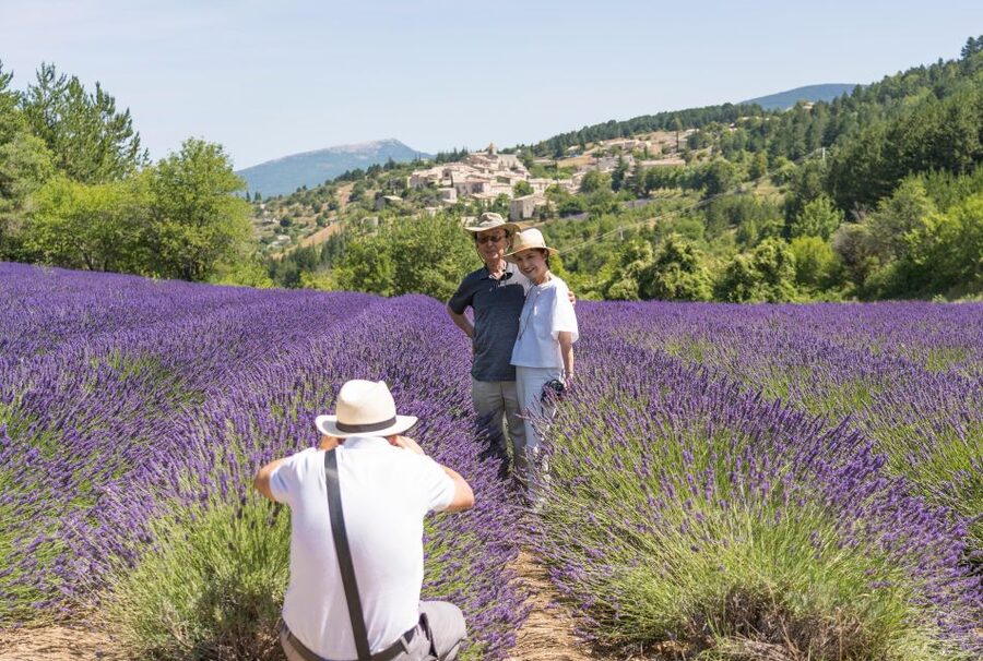 From Aix-en-Provence: Sault Lavender & Gordes Full-Day Tour - Who will enjoy the day most