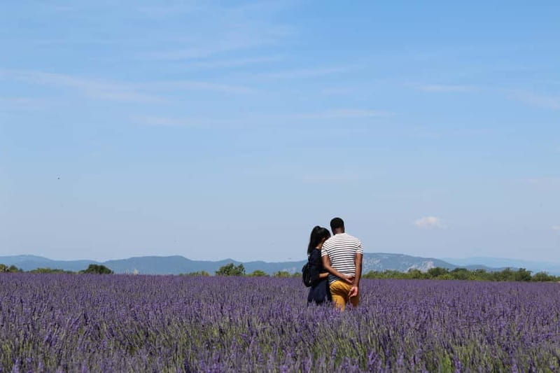 From Aix-en-Provence : Sunset Lavender Tour in Valensole - The producer stop and what you learn there