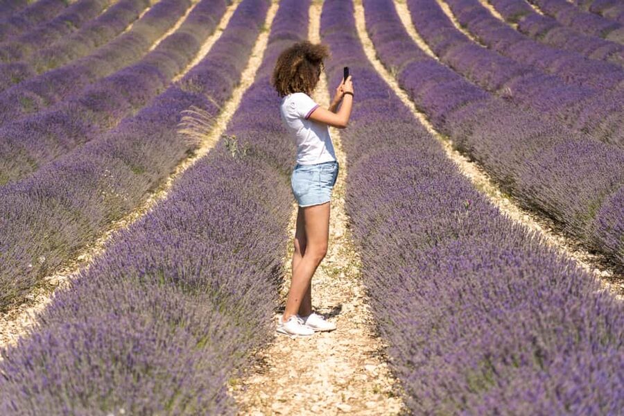 From Aix-en-Provence: Valensole Lavender Full-Day Tour - Meeting a lavender producer