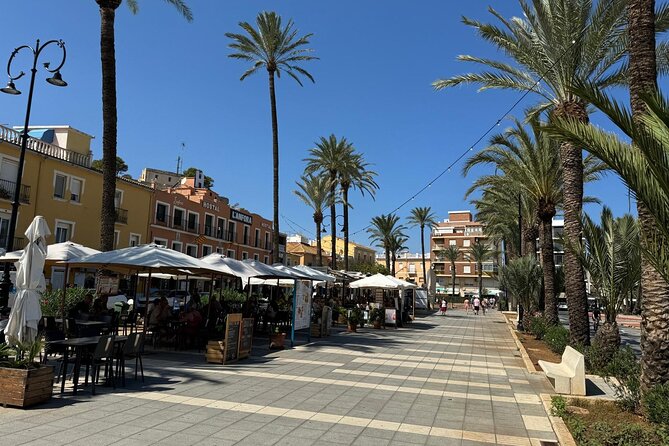 From Albir, Benidorm & Calpe: Denia & Mediterranean Gardens Trip - Key points to know before booking