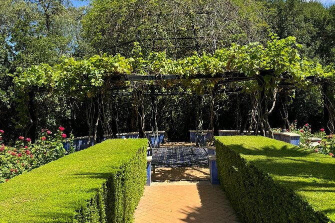 From Albir, Benidorm & Calpe: Denia & Mediterranean Gardens Trip - Why this day trip works well from the Costa Blanca