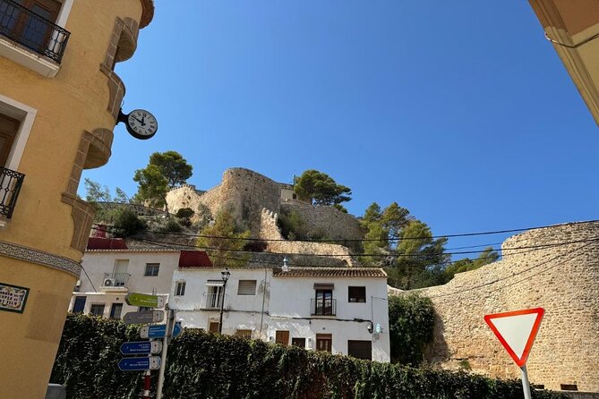 From Albir, Benidorm & Calpe: Denia & Mediterranean Gardens Trip - Denia port: lunch with boats and open views