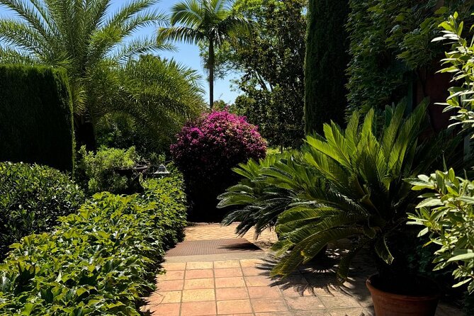 From Albir, Benidorm & Calpe: Denia & Mediterranean Gardens Trip - Weather, cancellation, and practical planning