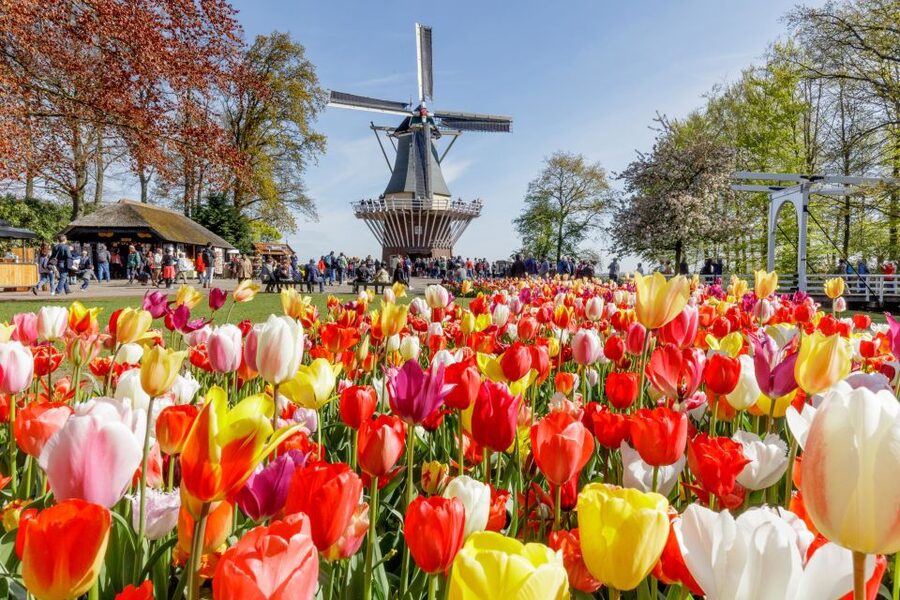 From Amsterdam: Keukenhof and Dutch Countryside Tour - The IJsselmeer crossing to Marken