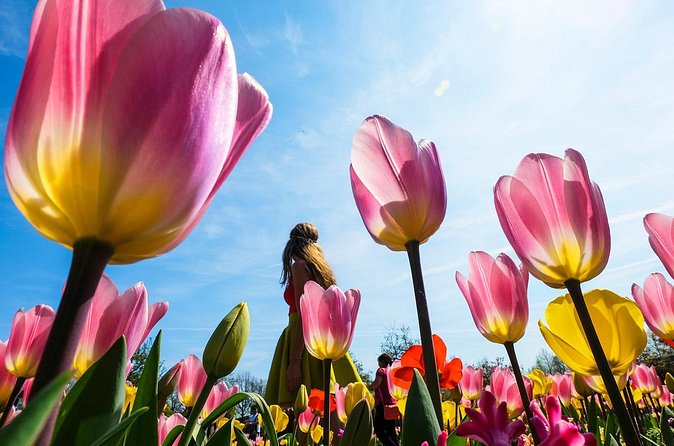 From Amsterdam: Keukenhof and Tulip Experience Tour - Crowds, weather, and the best month to go