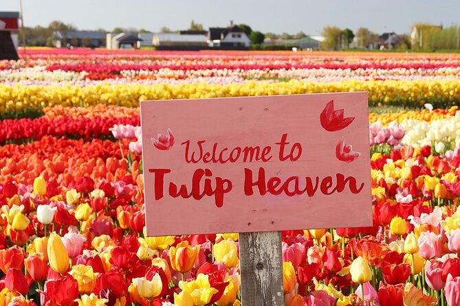 From Amsterdam: Keukenhof and Tulip Experience Tour - The Amsterdam meeting point and coach ride