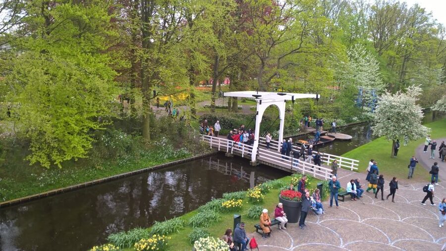 From Amsterdam: Keukenhof and Zaanse Schans Small Group Tour - Inside working windmill De Kat