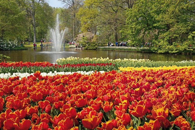 From Amsterdam: Keukenhof Gardens Ticket and Transfer - Three hours among tulips, hyacinths, and daffodils