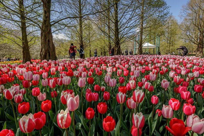 From Amsterdam: Keukenhof Gardens Ticket and Transfer - Timing, queues, and the return bus