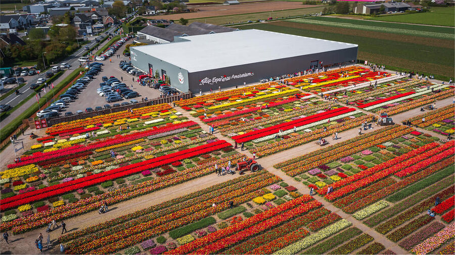 From Amsterdam: Keukenhof Gardens & Tulip Experience Tour - What the guides add