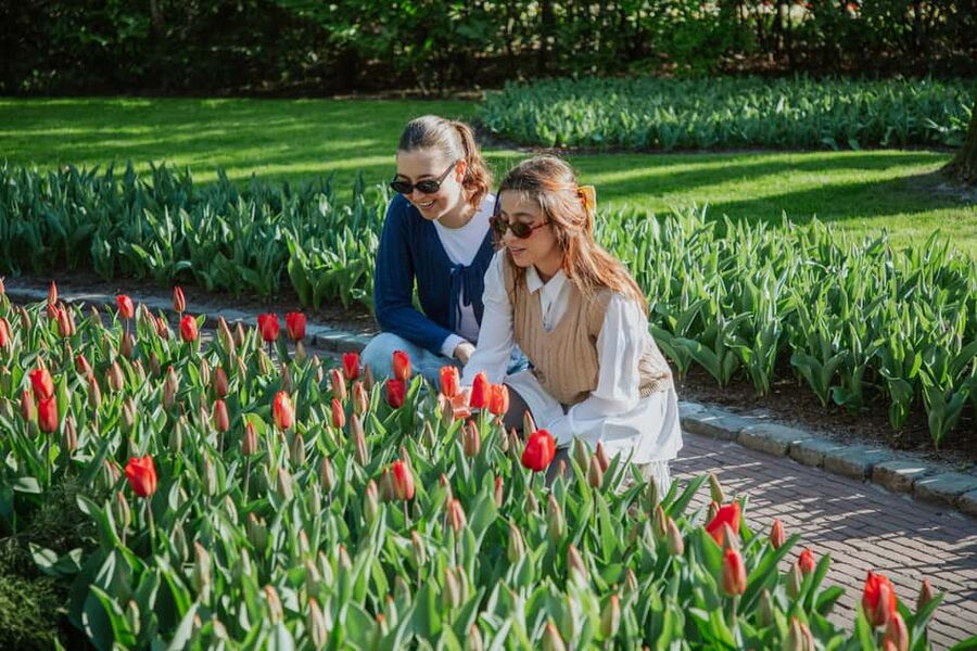 From Amsterdam: Keukenhof Ticket with Transfer - Entering Keukenhof with your ticket included