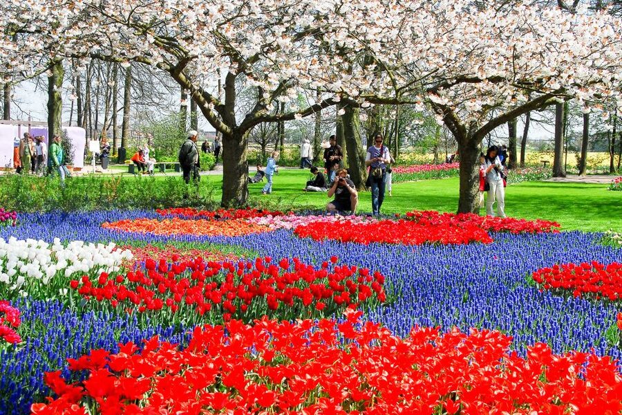 From Amsterdam: Keukenhof Ticket with Transfer - How much time you get in the gardens