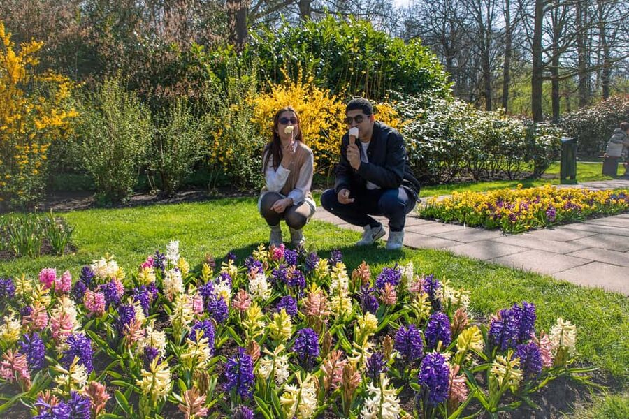 From Amsterdam: Keukenhof Ticket with Transfer - Choosing the best date for the flowers