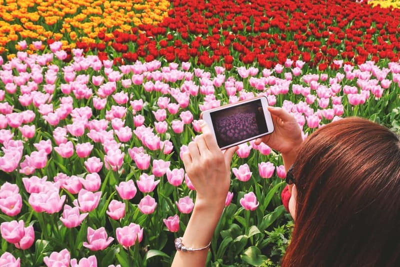 From Amsterdam: Keukenhof Tulips, Windmills & Volendam - Keukenhof First, Before the Crowds Build