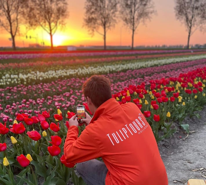 From Amsterdam: The Early Flower Tour, full day with Lunch - The first flower fields north of Amsterdam