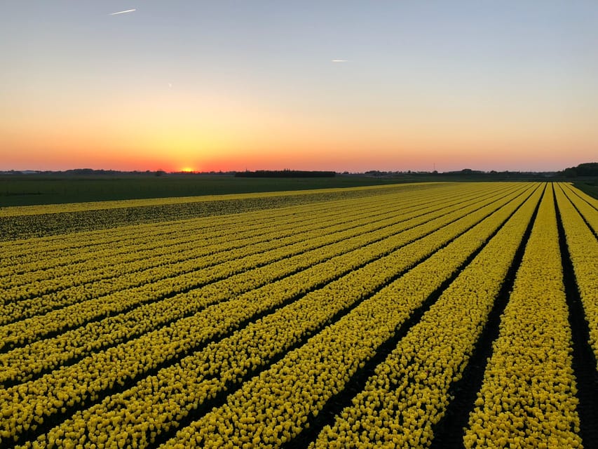 From Amsterdam: The Early Flower Tour, full day with Lunch - Who will enjoy this North Holland day trip