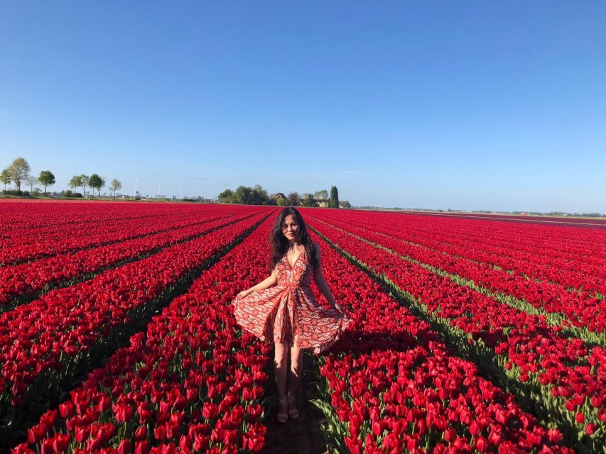 From Amsterdam: Tulip Tour Keukenhof & City Tour Delft - Walking, luggage, children, and wheelchairs