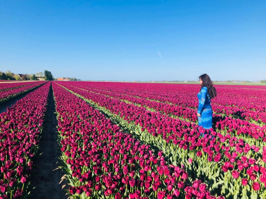 From Amsterdam: Tulip Tour Keukenhof & City Tour Delft - Why this day works for a spring visit