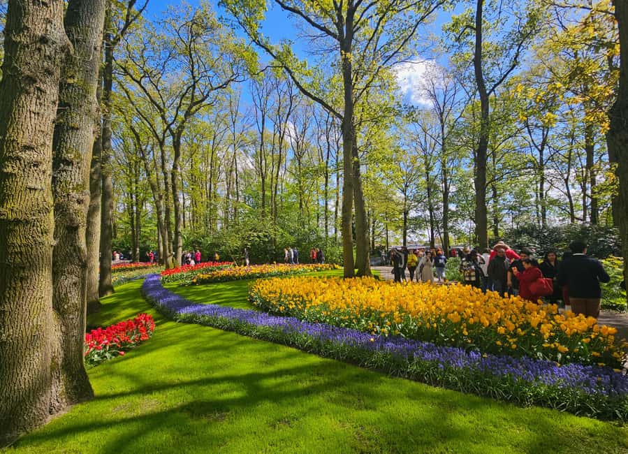 From Amsterdam: Tulip Tour Keukenhof & City Tour Delft - Making the most of two free hours at Keukenhof