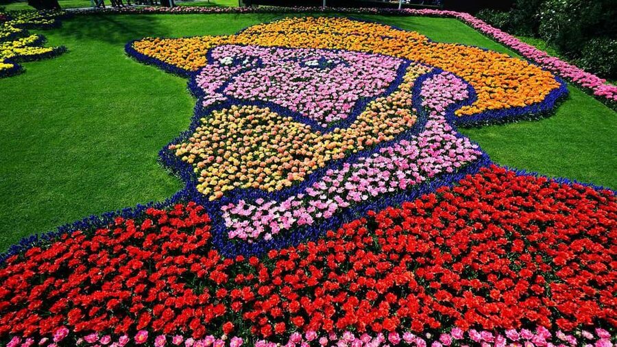 From Amsterdam: VIP Keukenhof Tulip Tour with Private Driver - Entering Keukenhof during tulip season