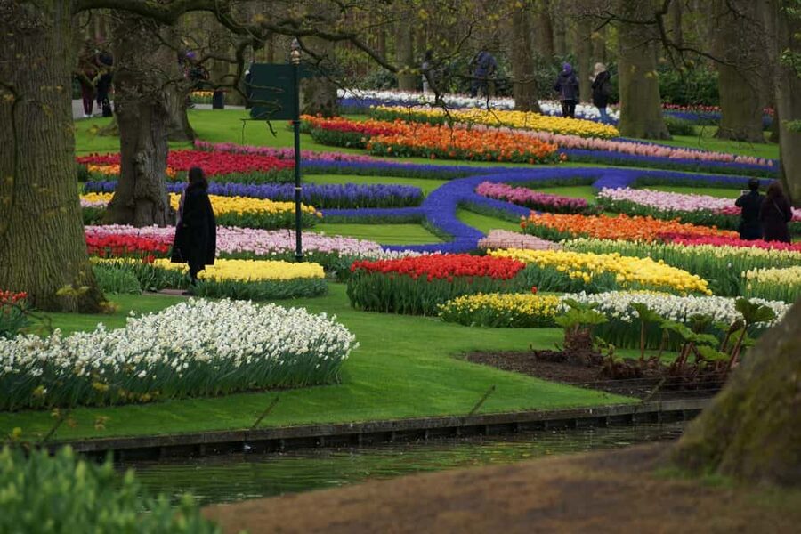 From Amsterdam: VIP Keukenhof Tulip Tour with Private Driver - Themed gardens, flower displays, and photo time
