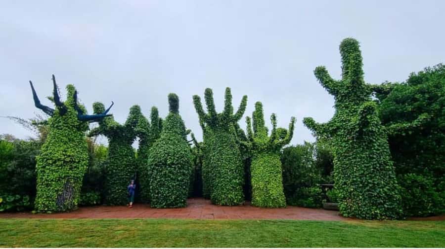 From Auckland: Hobbiton & Hamilton Gardens Small Group Tour - Key points to know before booking