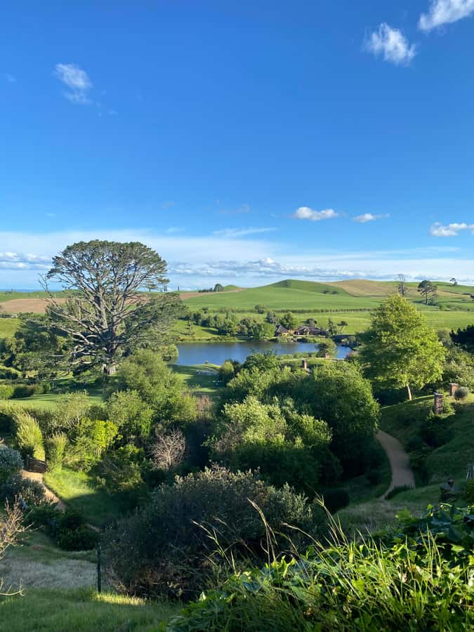 From Auckland: Hobbiton & Hamilton Gardens Small Group Tour - Who will enjoy this day most?