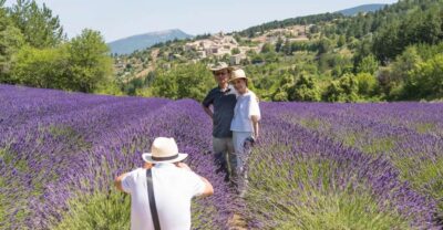 Half-Day Lavender Tour of Luberon