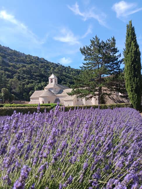 From Avignon: Half-Day Lavender Tour of Luberon - Is $106 a fair price?