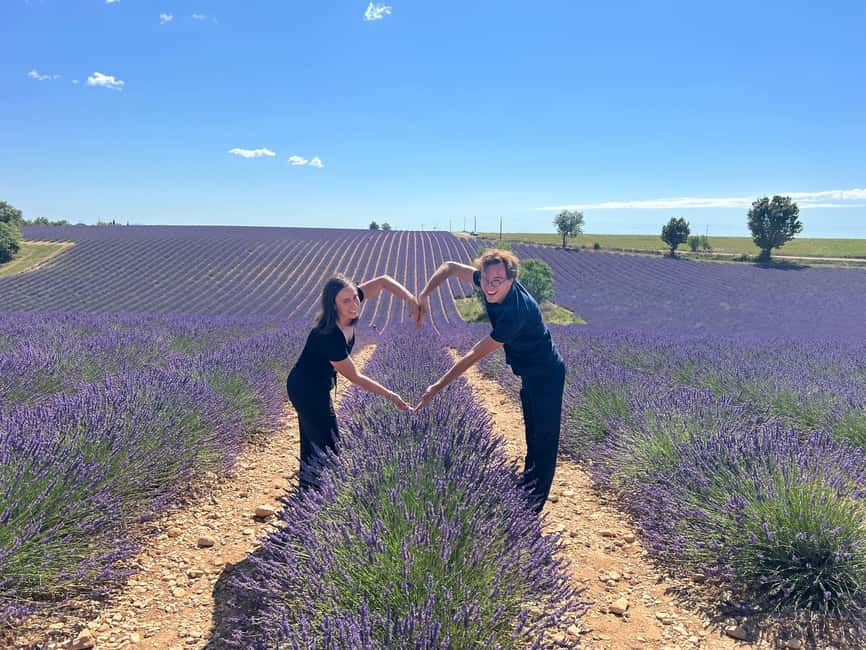 From Avignon: Half Day Lavender Tour to Sault - Key points to know before booking