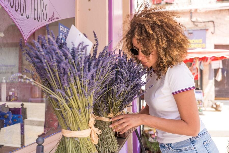 From Avignon: Half Day Lavender Tour to Sault - Who should book this tour?