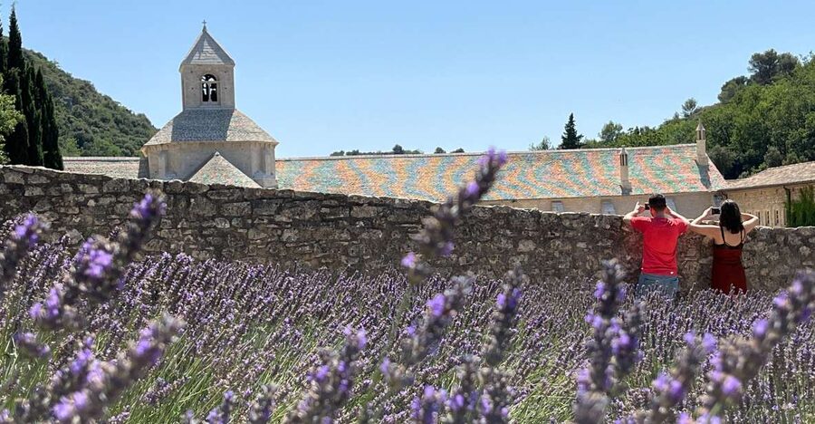 From Avignon: Lavender Tour around Valensole or Sault - Sault’s large field and the ride home