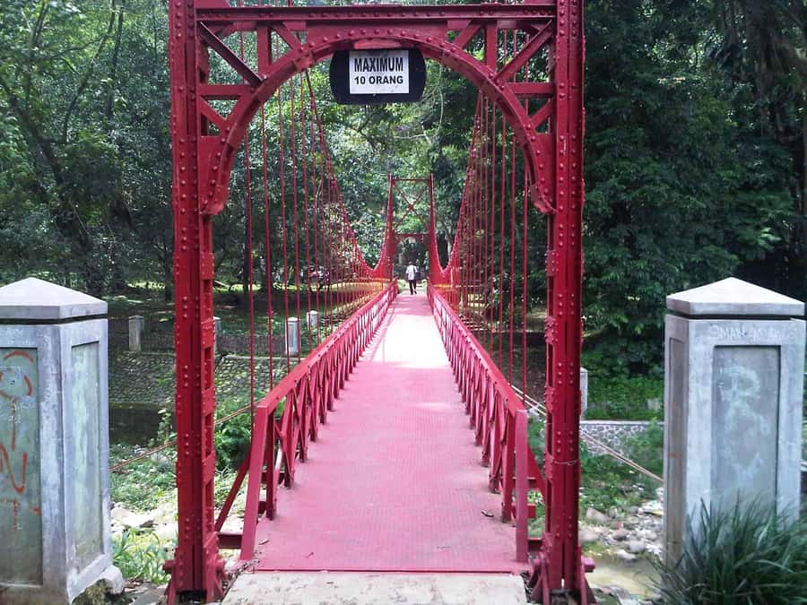 From Bandung: Tea Plantation and Botanical Garden Tour - Why the 6 AM departure matters