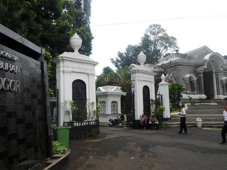 From Bandung: Tea Plantation and Botanical Garden Tour - Inside the tea factory, if the schedule allows